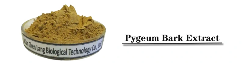 Pygeum Bark Extract.jpg